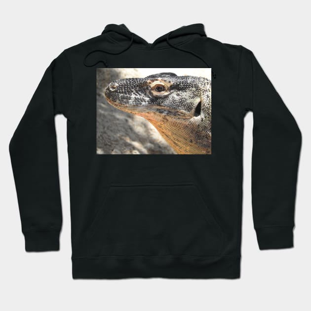 Komodo Dragon Hoodie by kirstybush